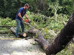 Best Lot and Land Clearing  in Broad Brook, CT